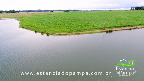 TREM TOP SORGO.00_00_25_17.Quadro010_86ce7cb42a7ae5efa6b139e7d856cc5c9e6766a6.png